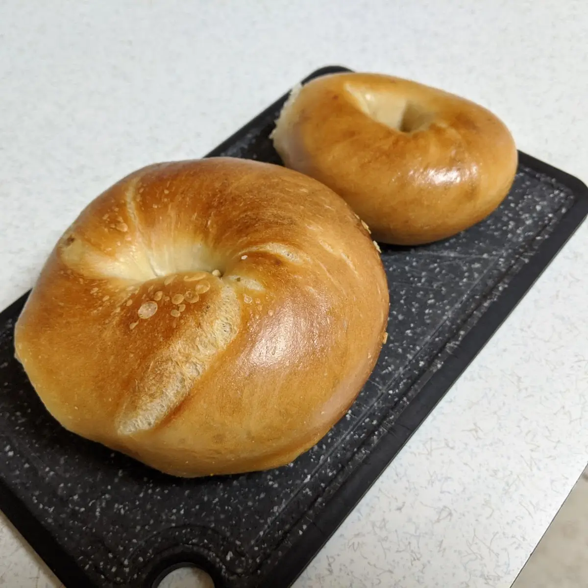 Regular Plain and Mini Plain Bagel