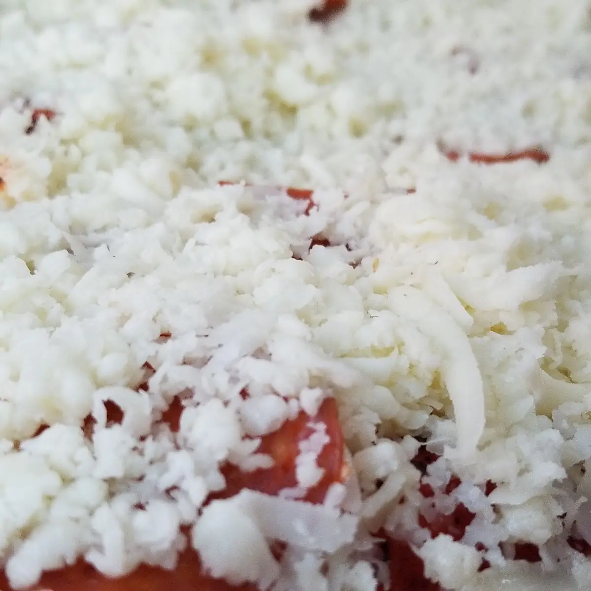 Extra Cheese Pizza
