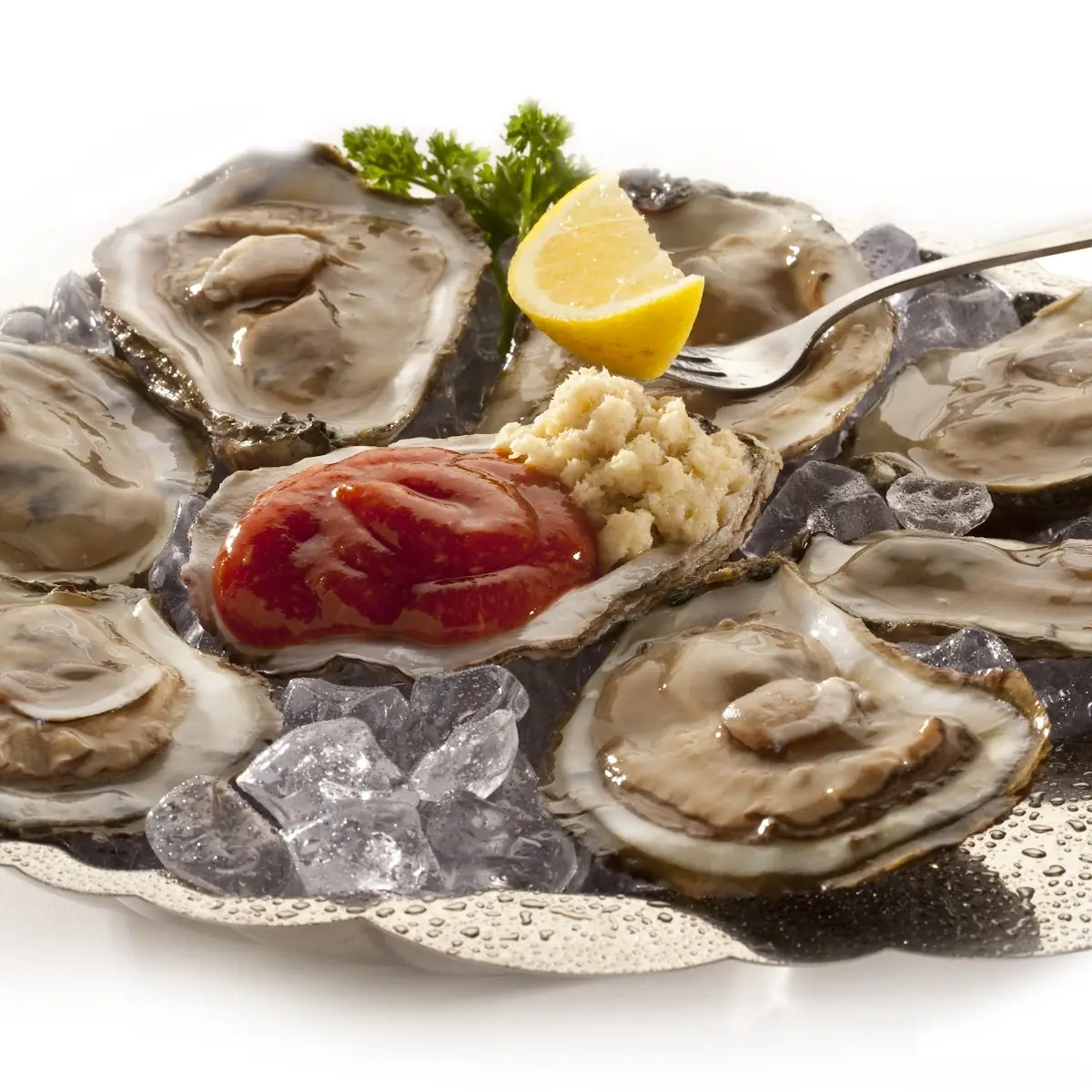 Fresh Oysters