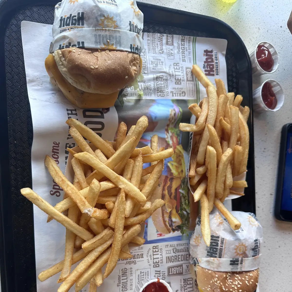 Double Cheese Burger and Fries