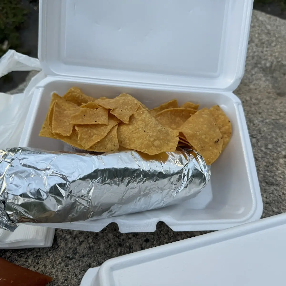 Steak Quesadilla with French Fries