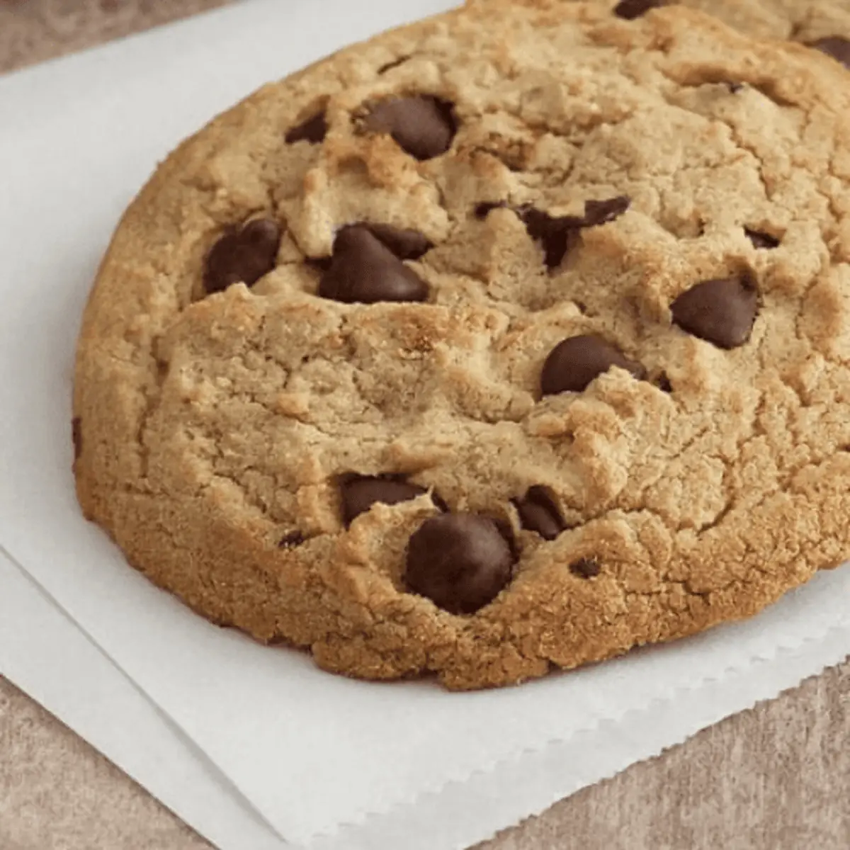 Chocolate Chip Cookie
