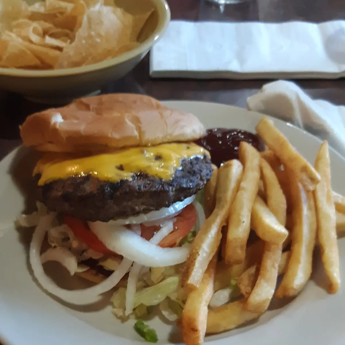 Cheese Burger and Fries