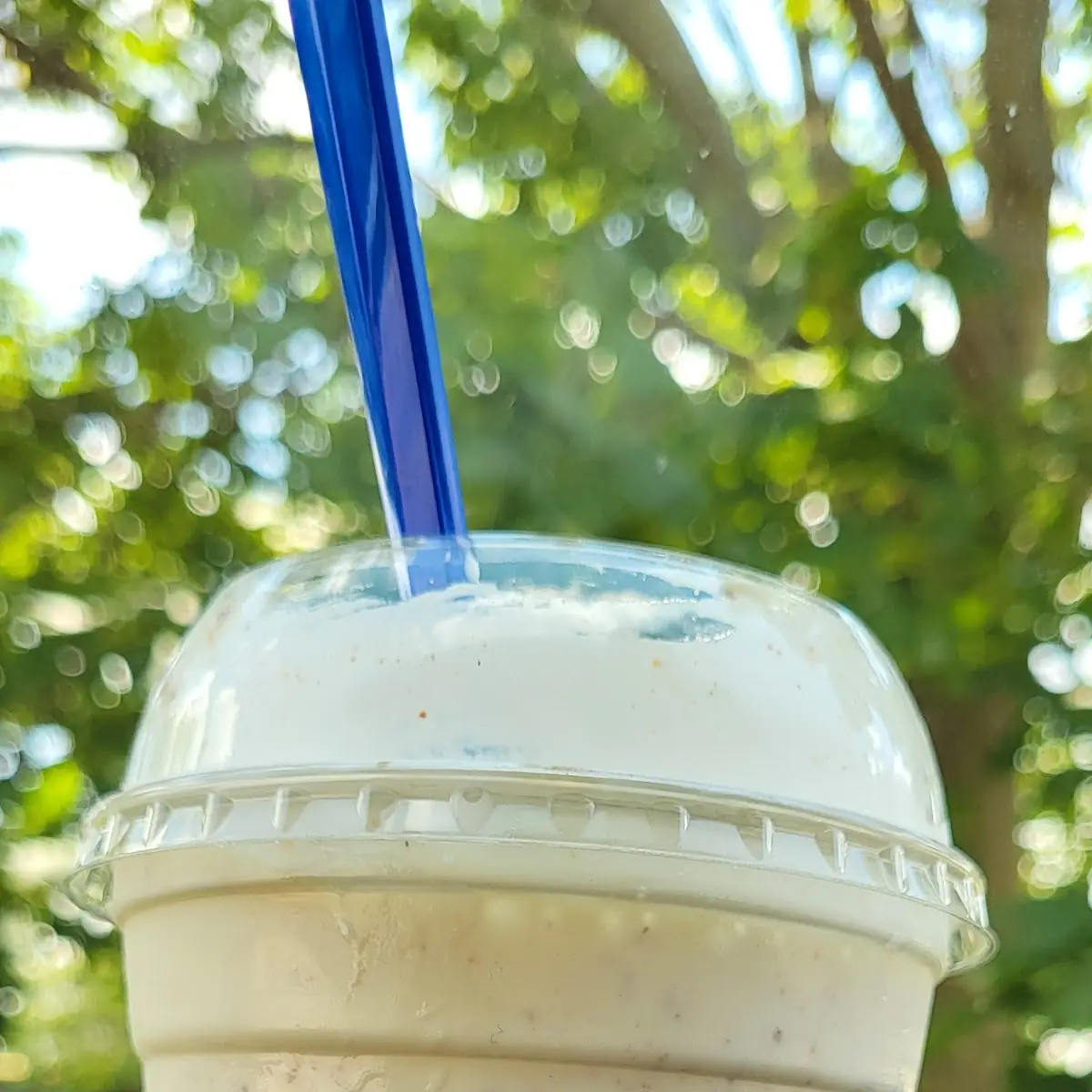 Peanut Butter Cups Concrete