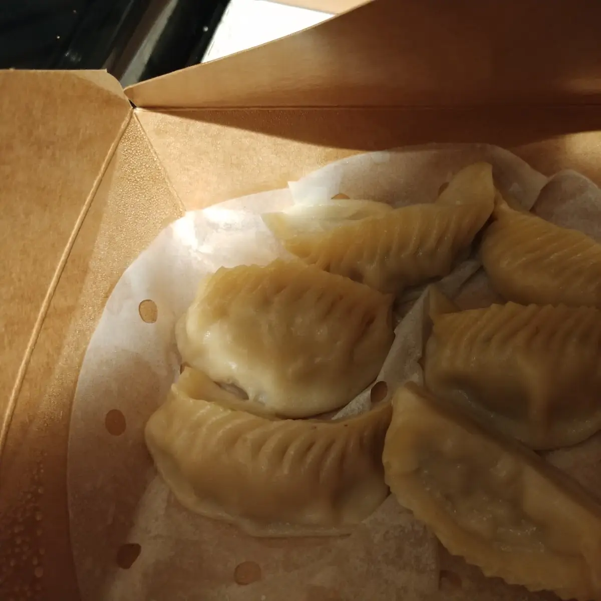 Chicken Dumplings