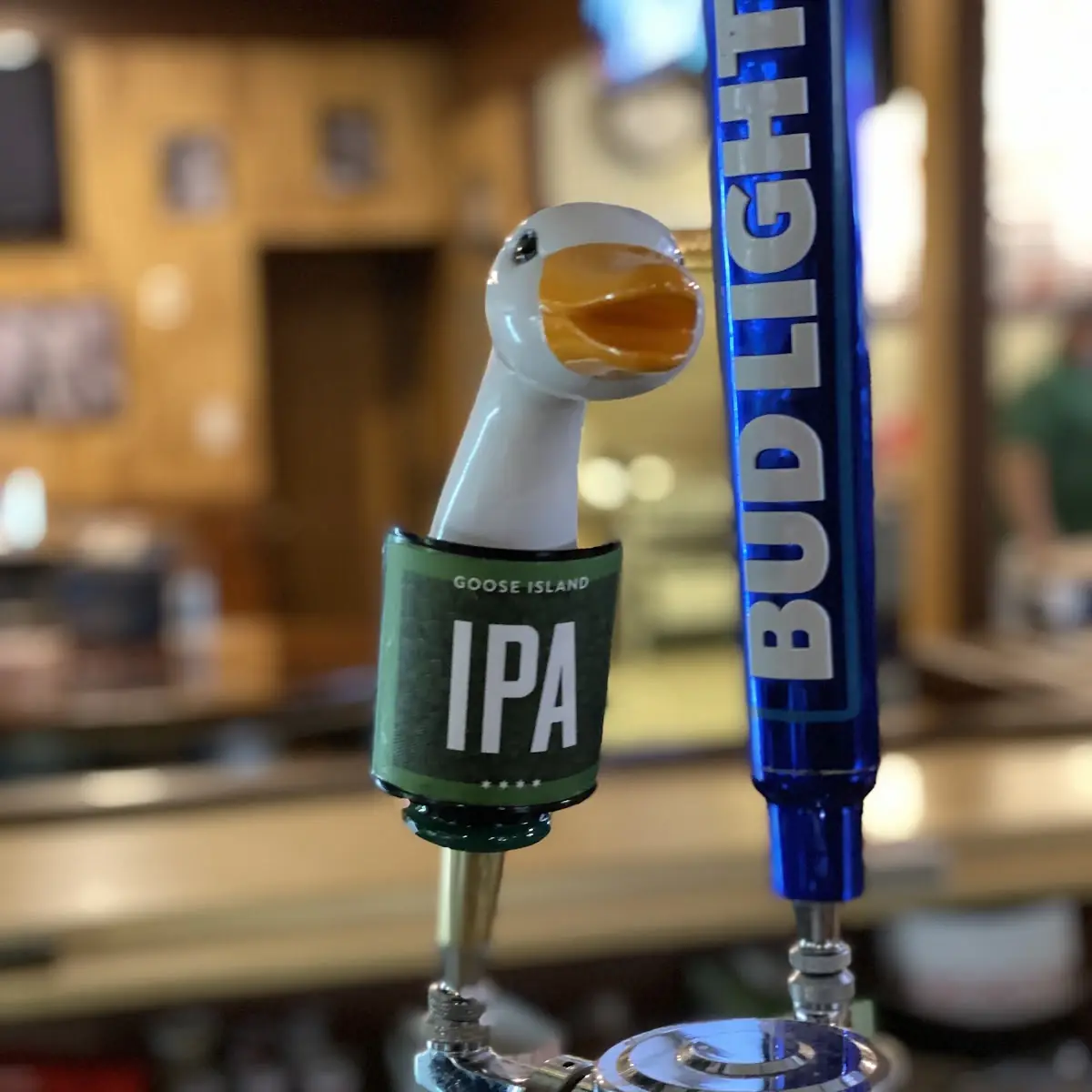 Lagunitas IPA Draft