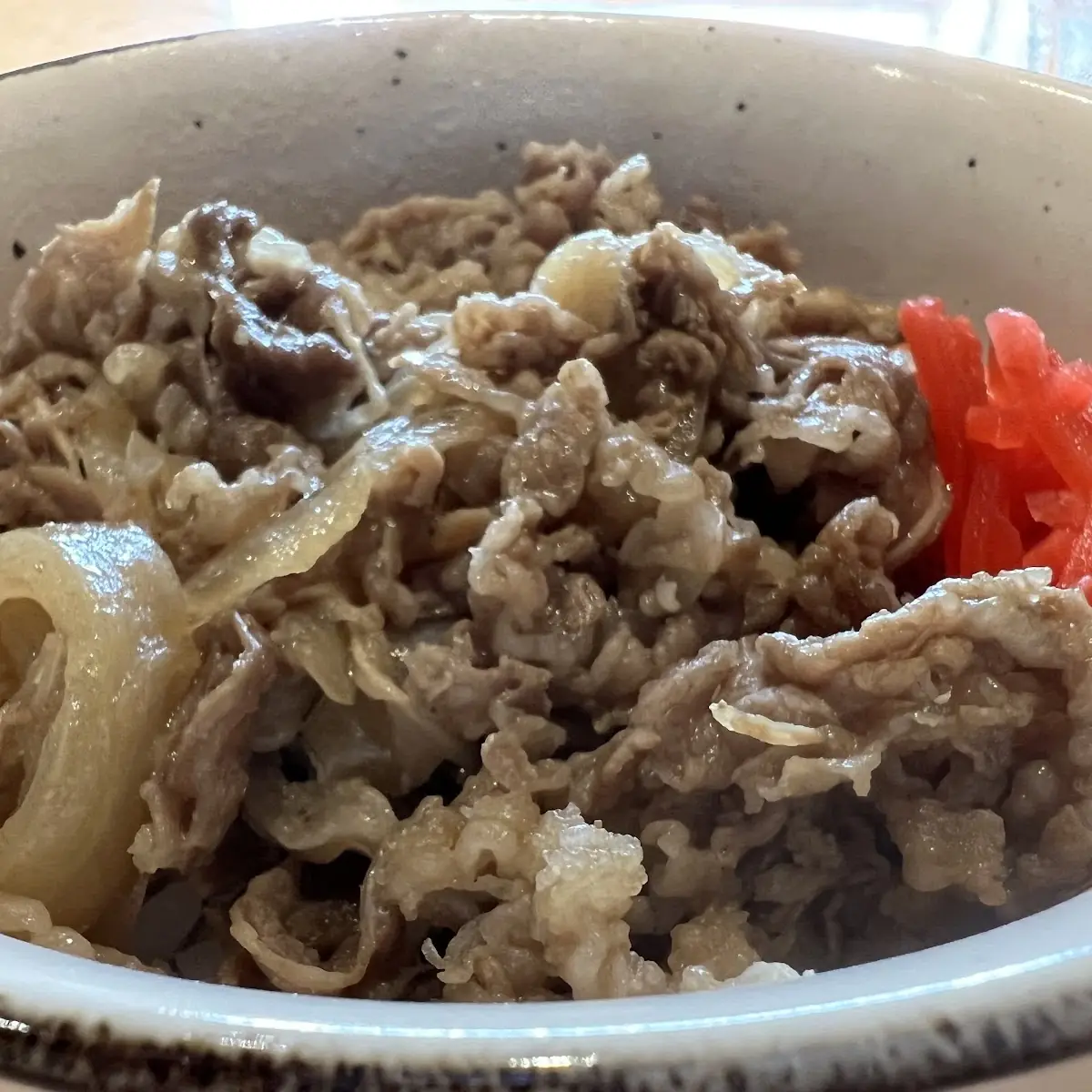 Beef and Onion Rice Bowl