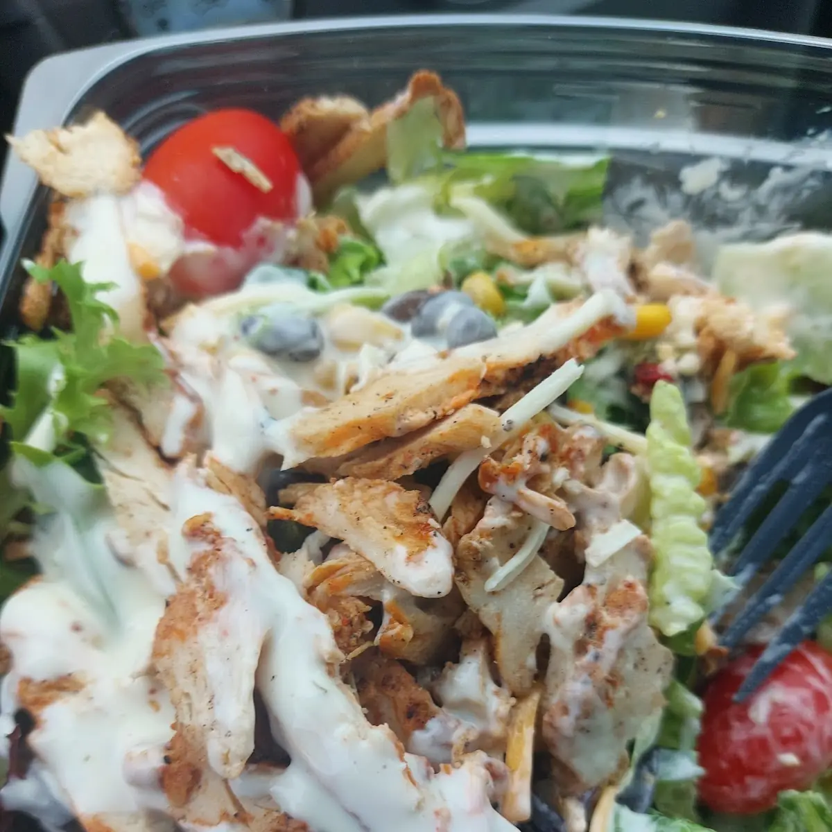 Grilled Chicken Salad