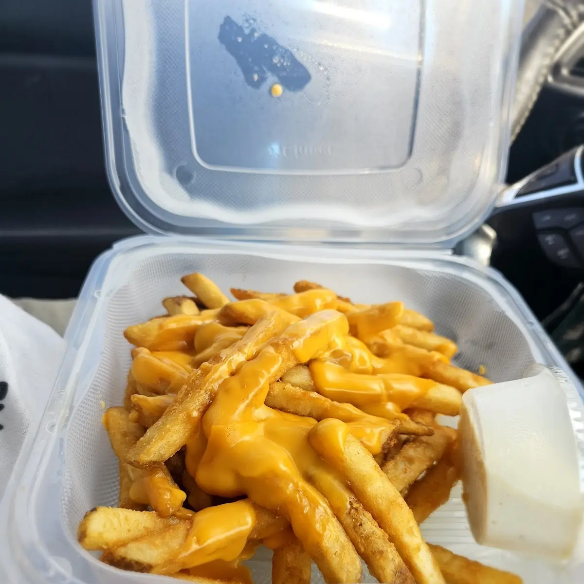 Bacon and Cheese Fries