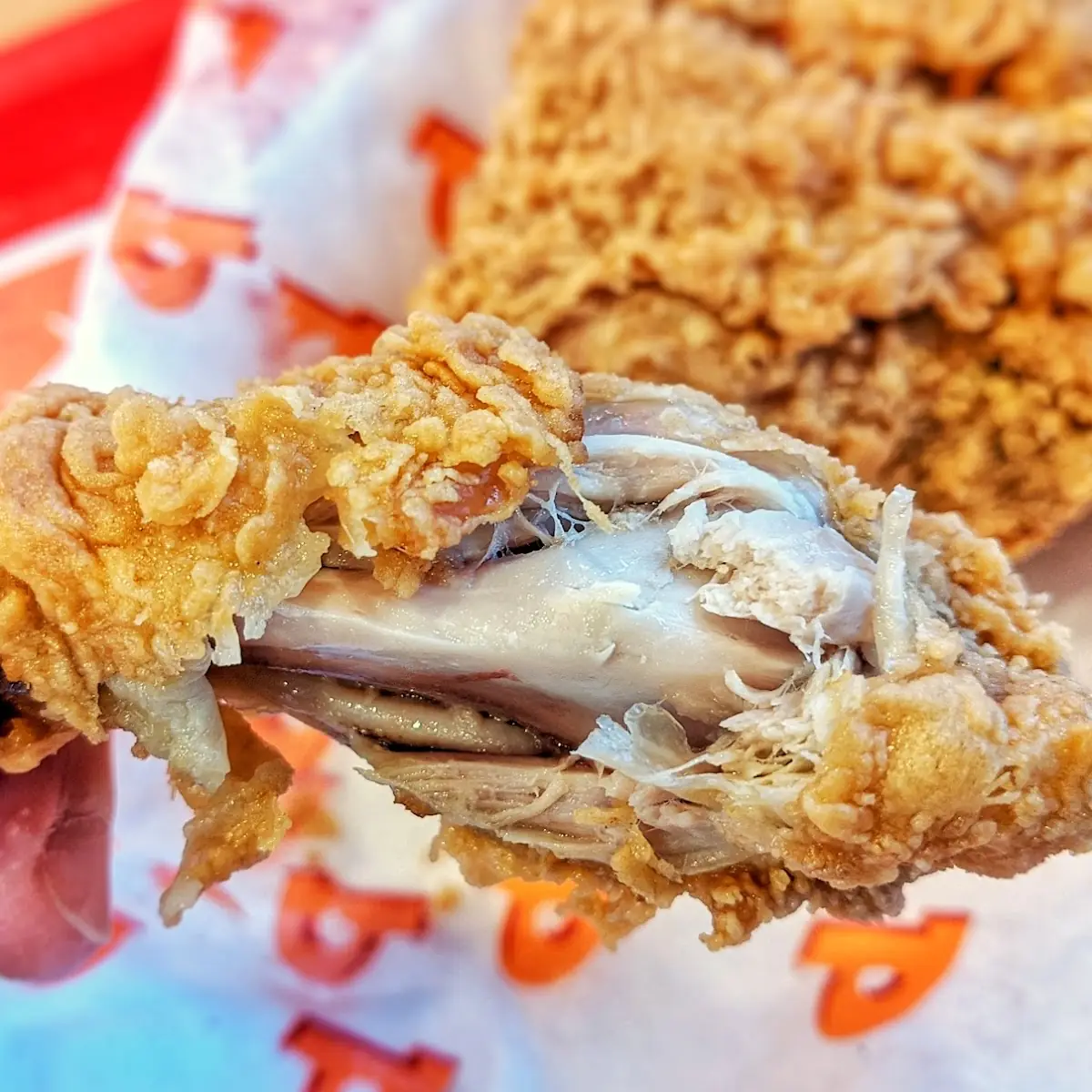 Fried Chicken Drumstick
