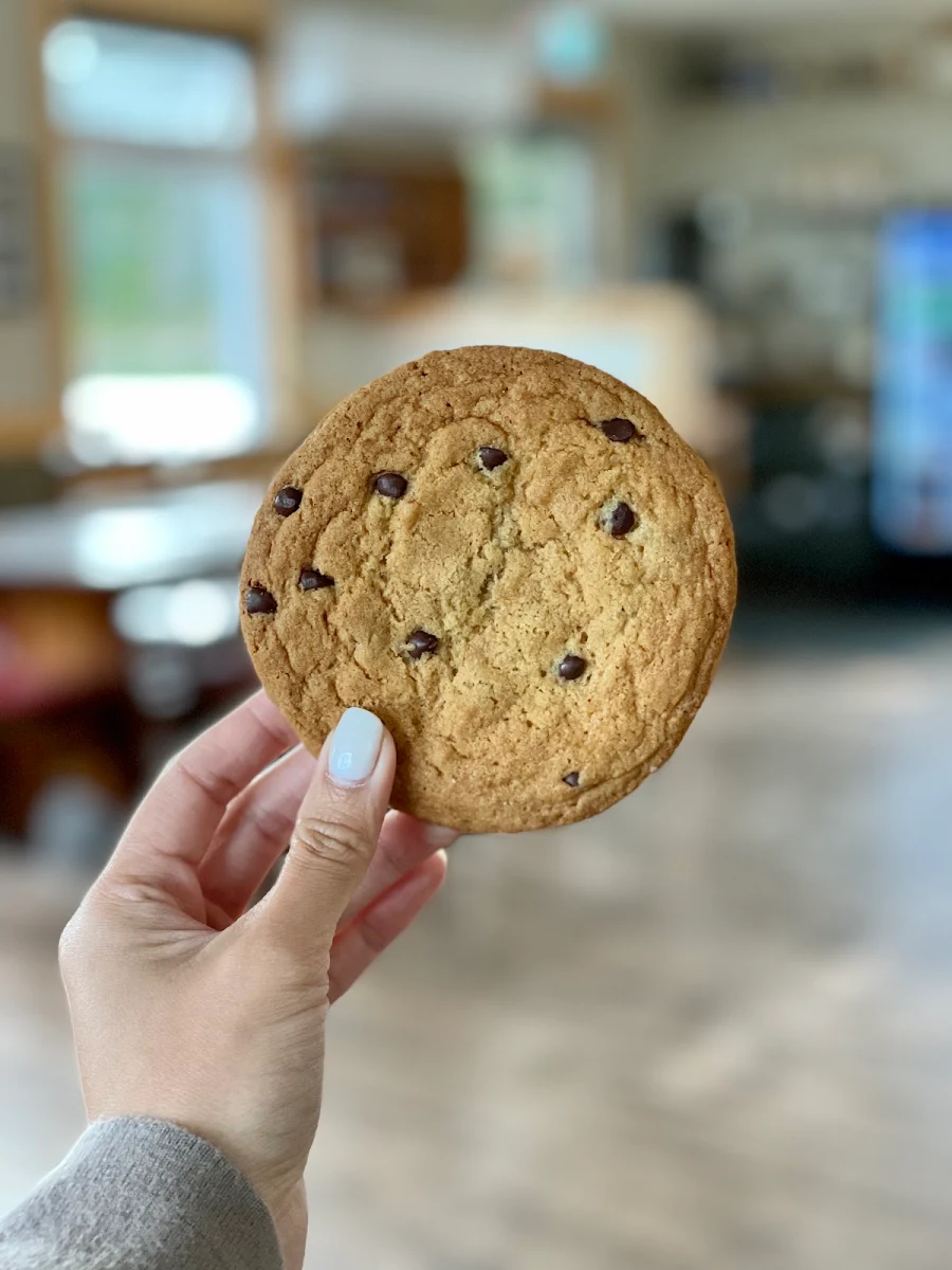 Chocolate Chip Cookie