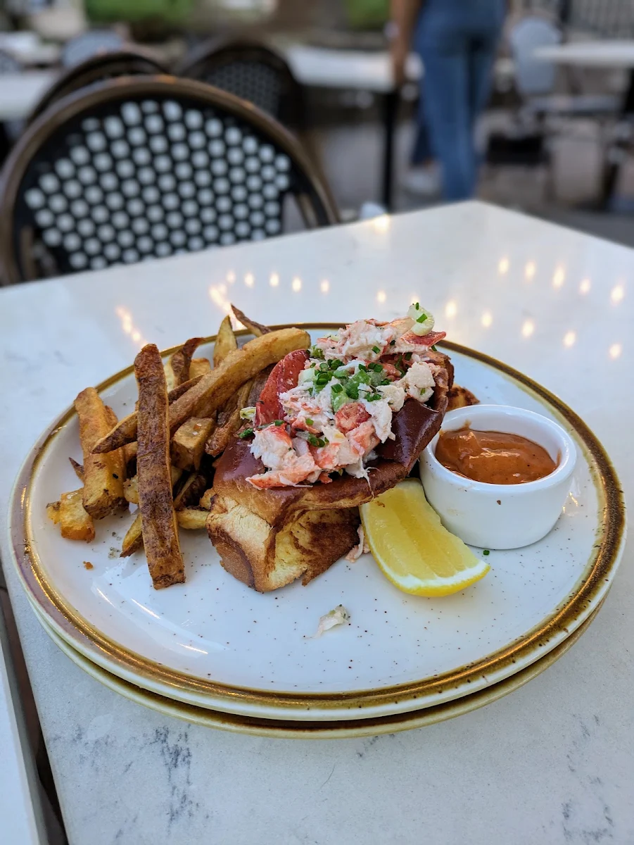 Maine Lobster Roll