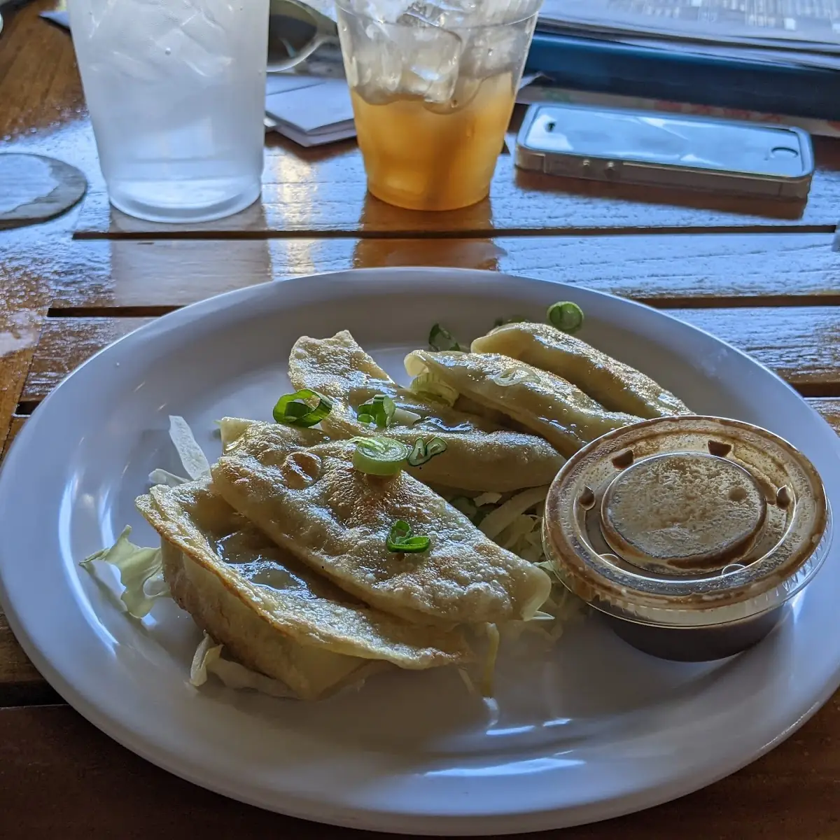 Grilled Pork Pot Stickers