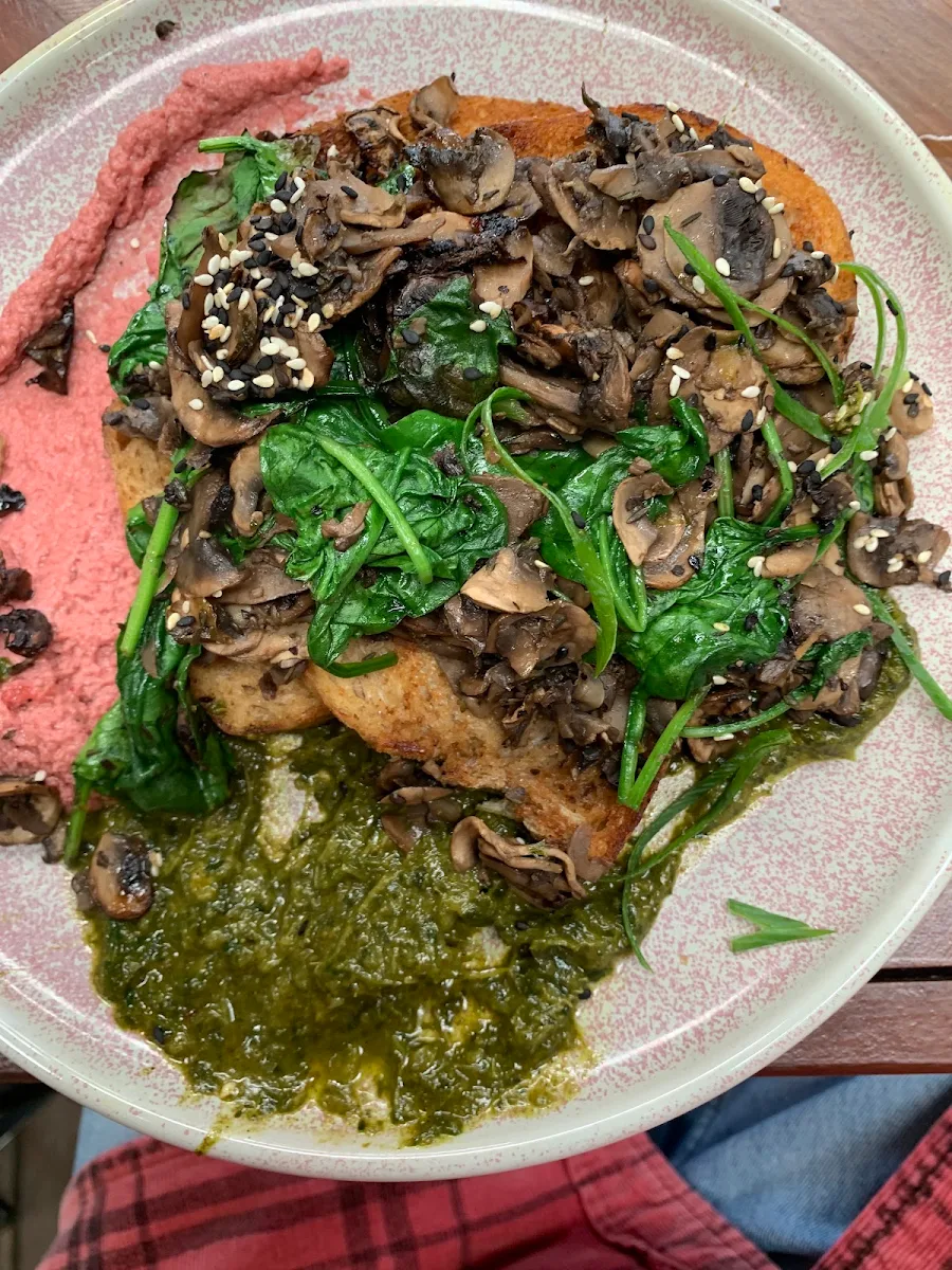 Forrest Mushrooms, Gun Cotton Coffee Roasters