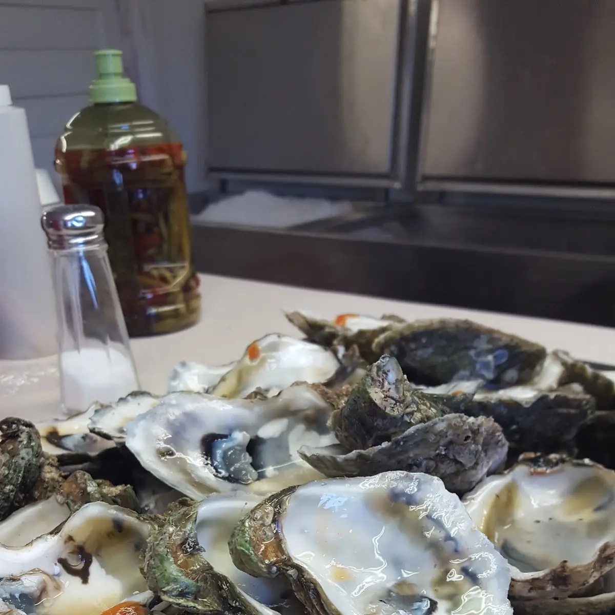 Oysters on the Half Shell