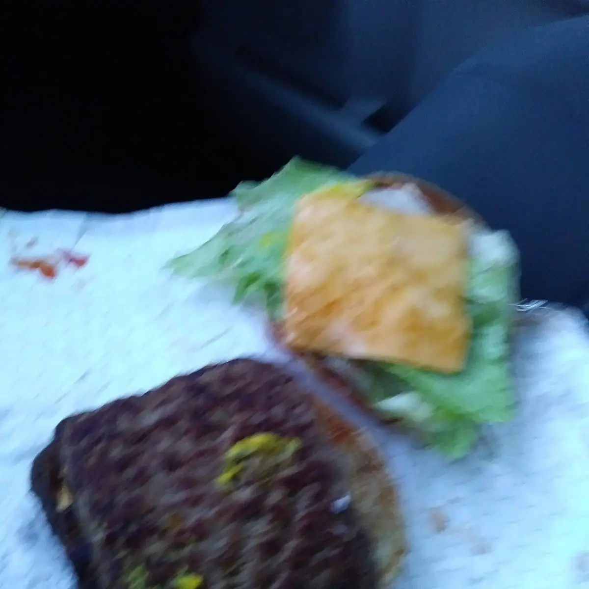 Double Hamburger Terrible