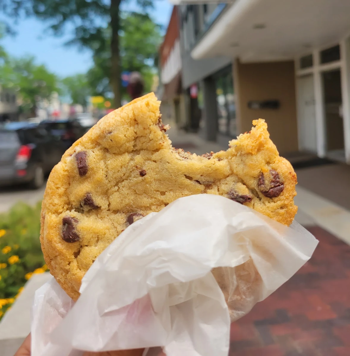 Chocolate Chip Cookie