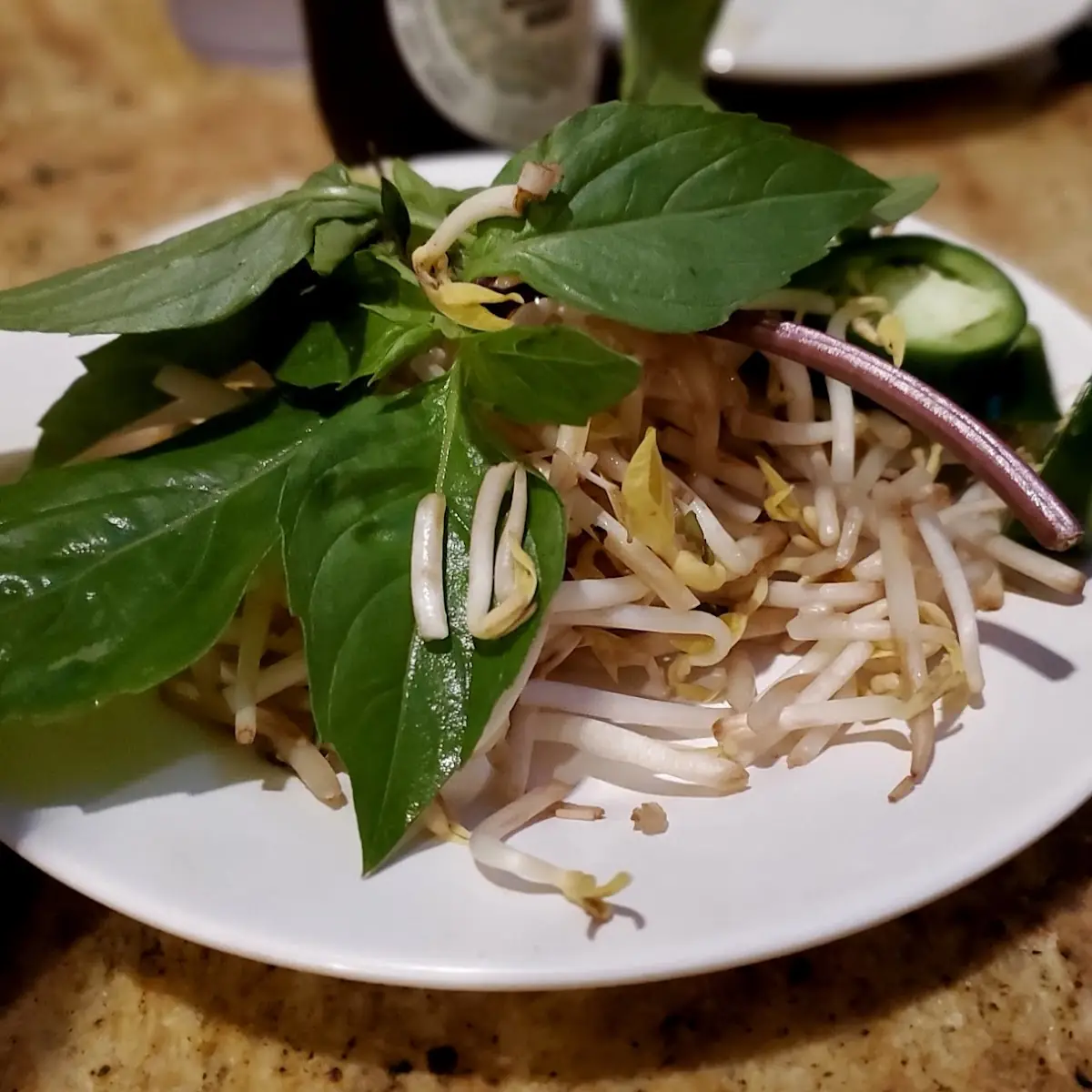 Pho No Meat