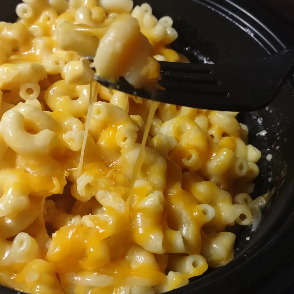 Wisconsin Mac and Cheese