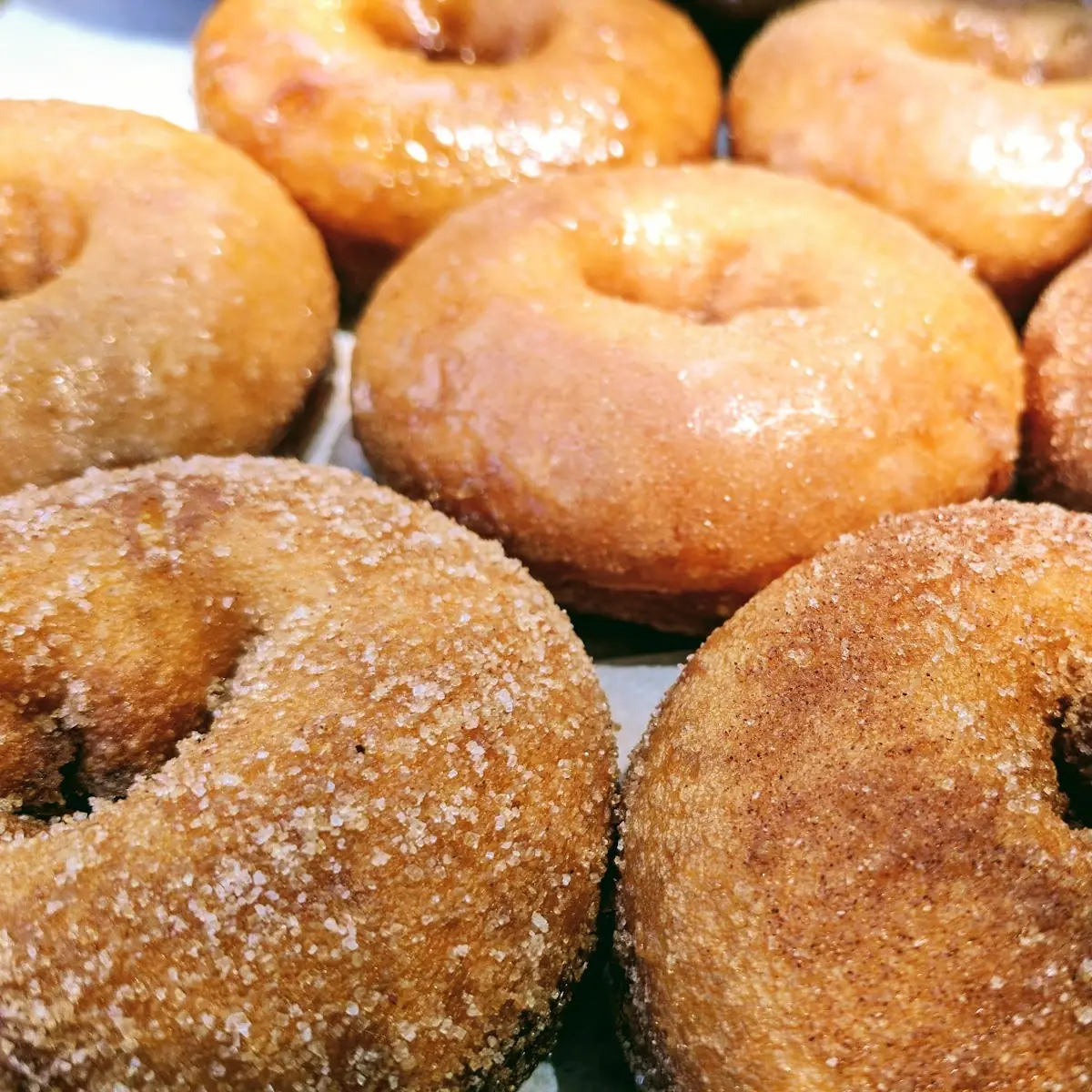 Cinnamon Sugar Donut