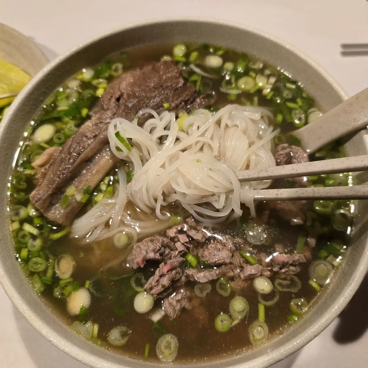 Beef Pho and Fresh Spring Rolls