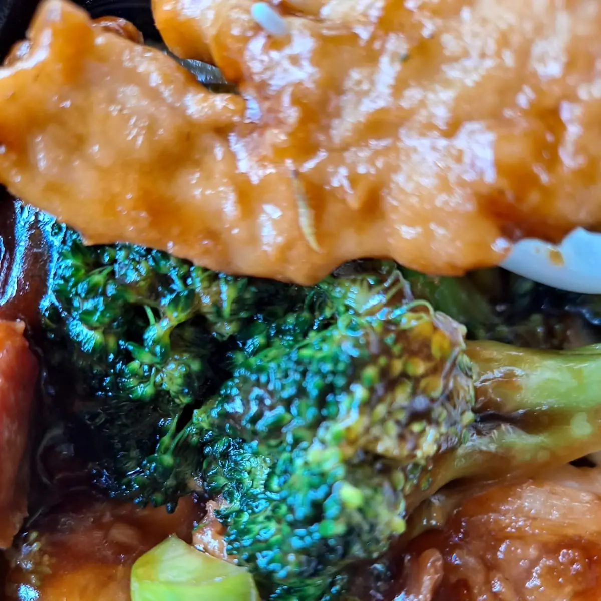 Sauteed Broccoli in Brown Sauce