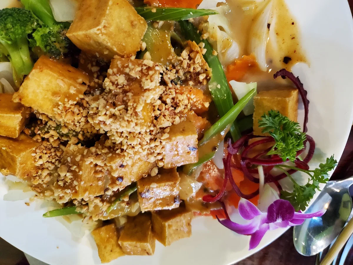 Fried Tofu