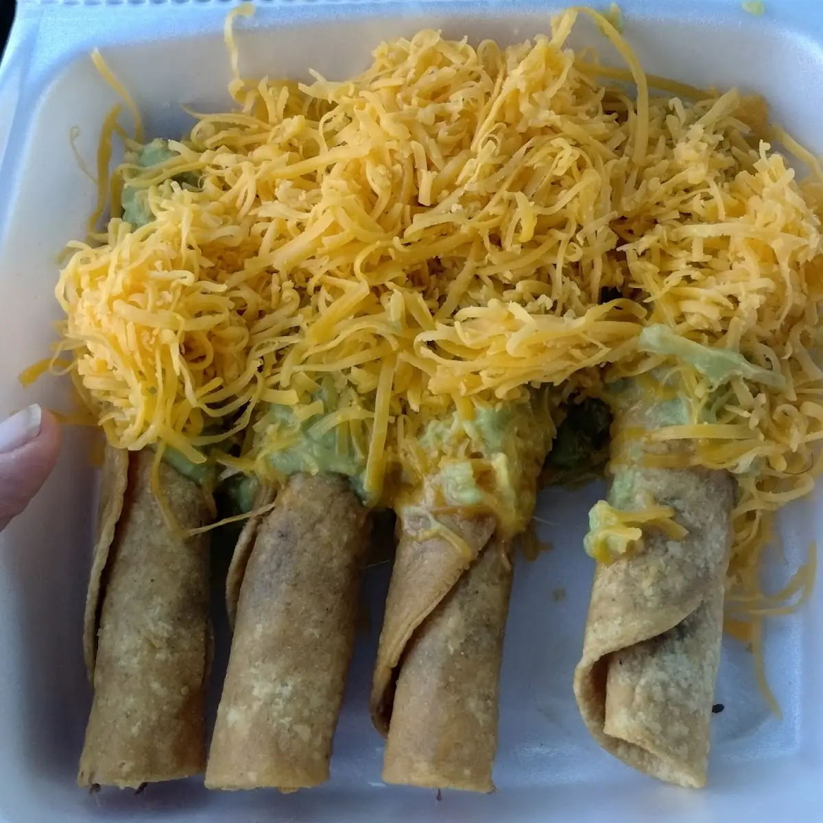 Rolled Tacos Taquitos