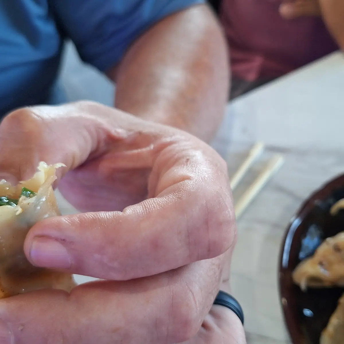 Pork Dumplings