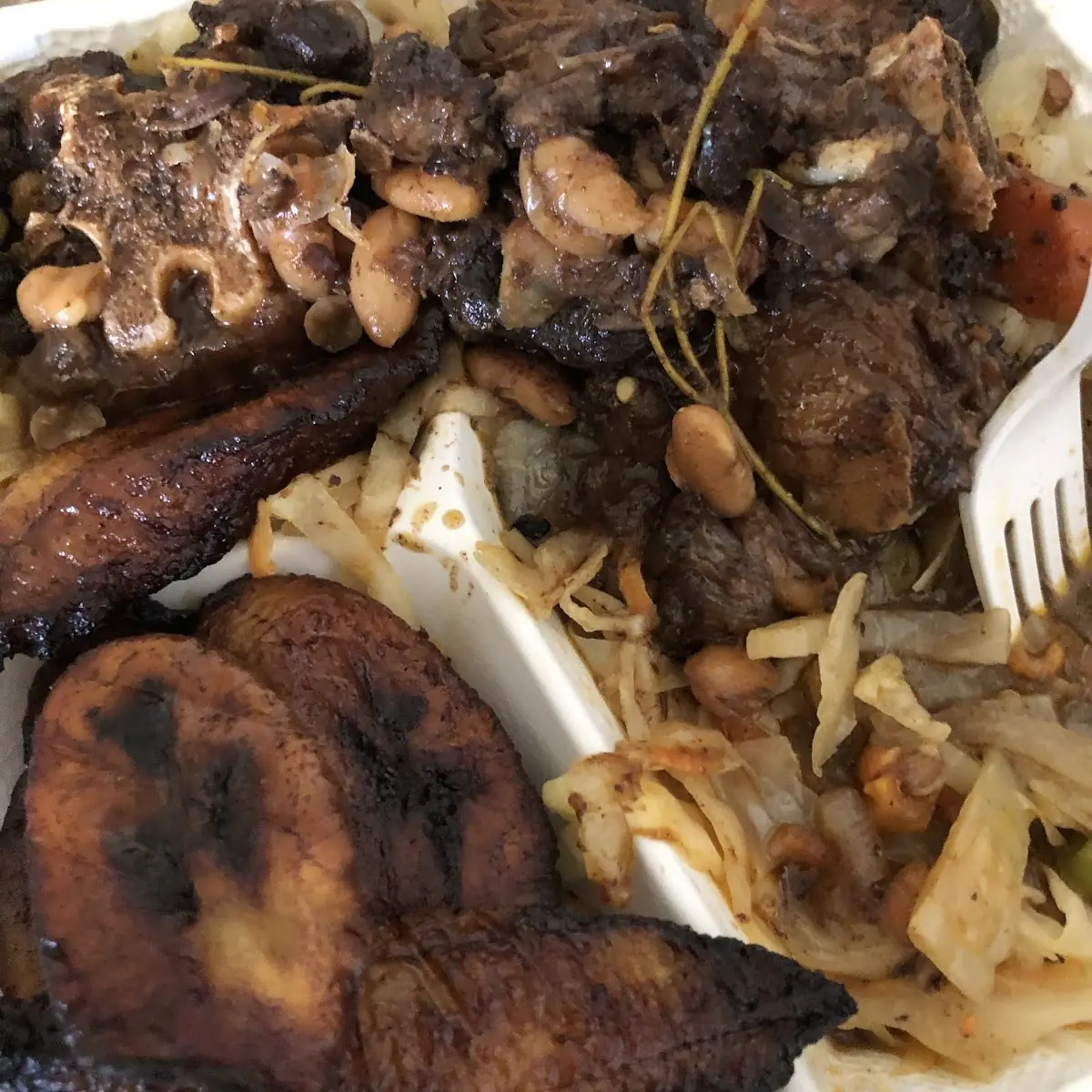 Oxtail Dinner with Plantains