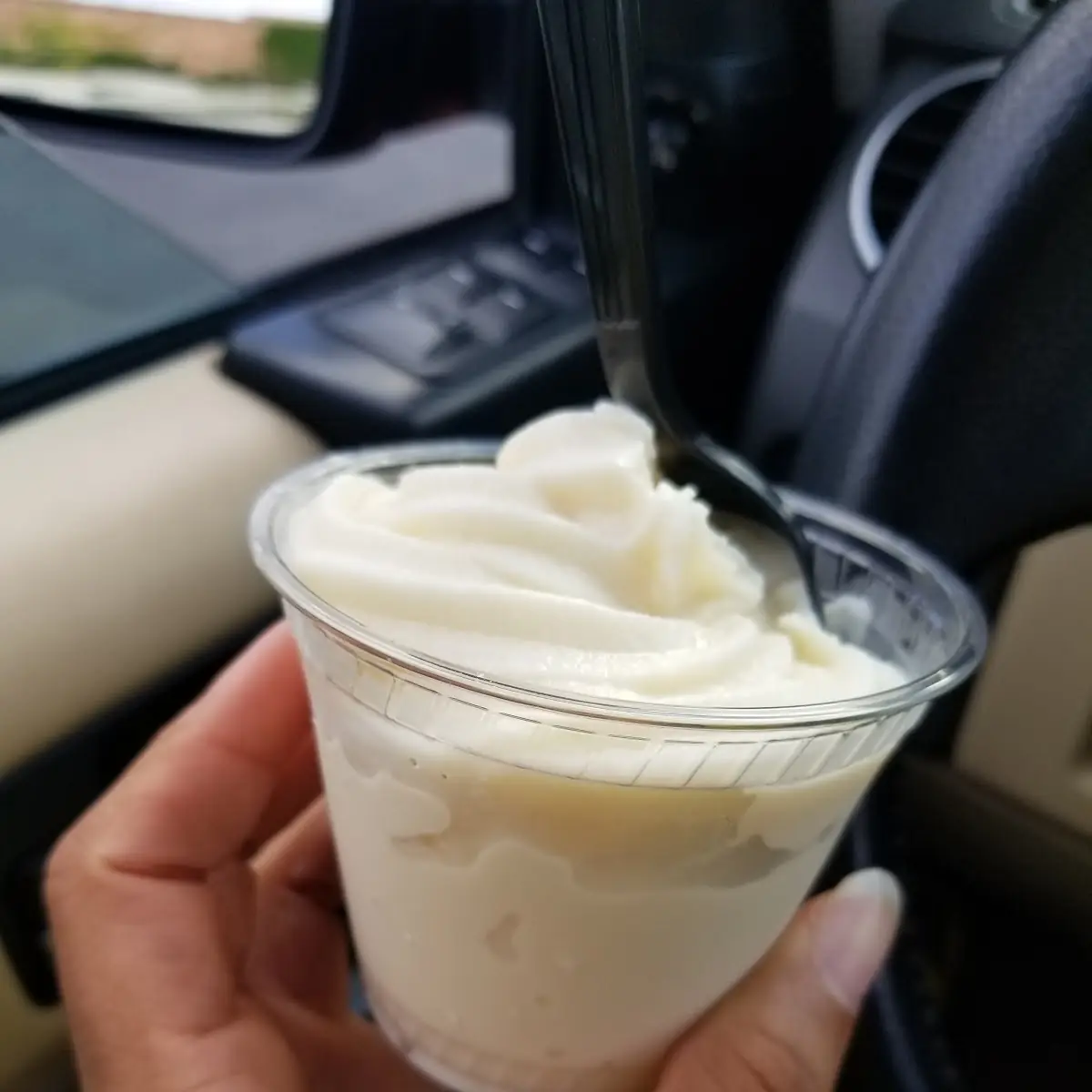 Vanilla Ice Cream Cup