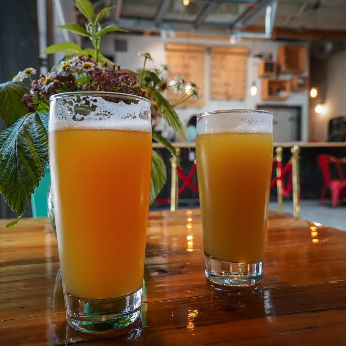 Hazy IPA