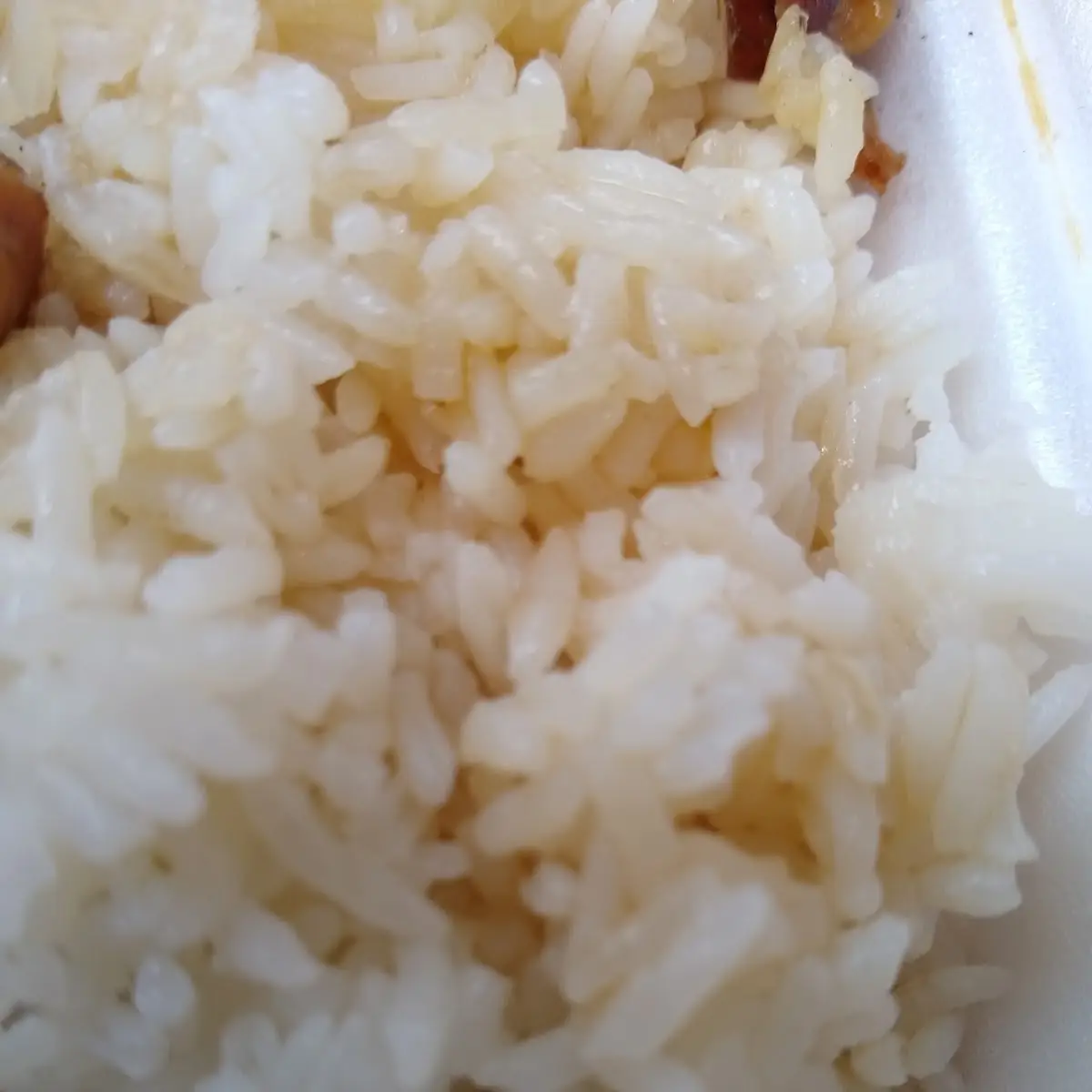 Steamed Rice