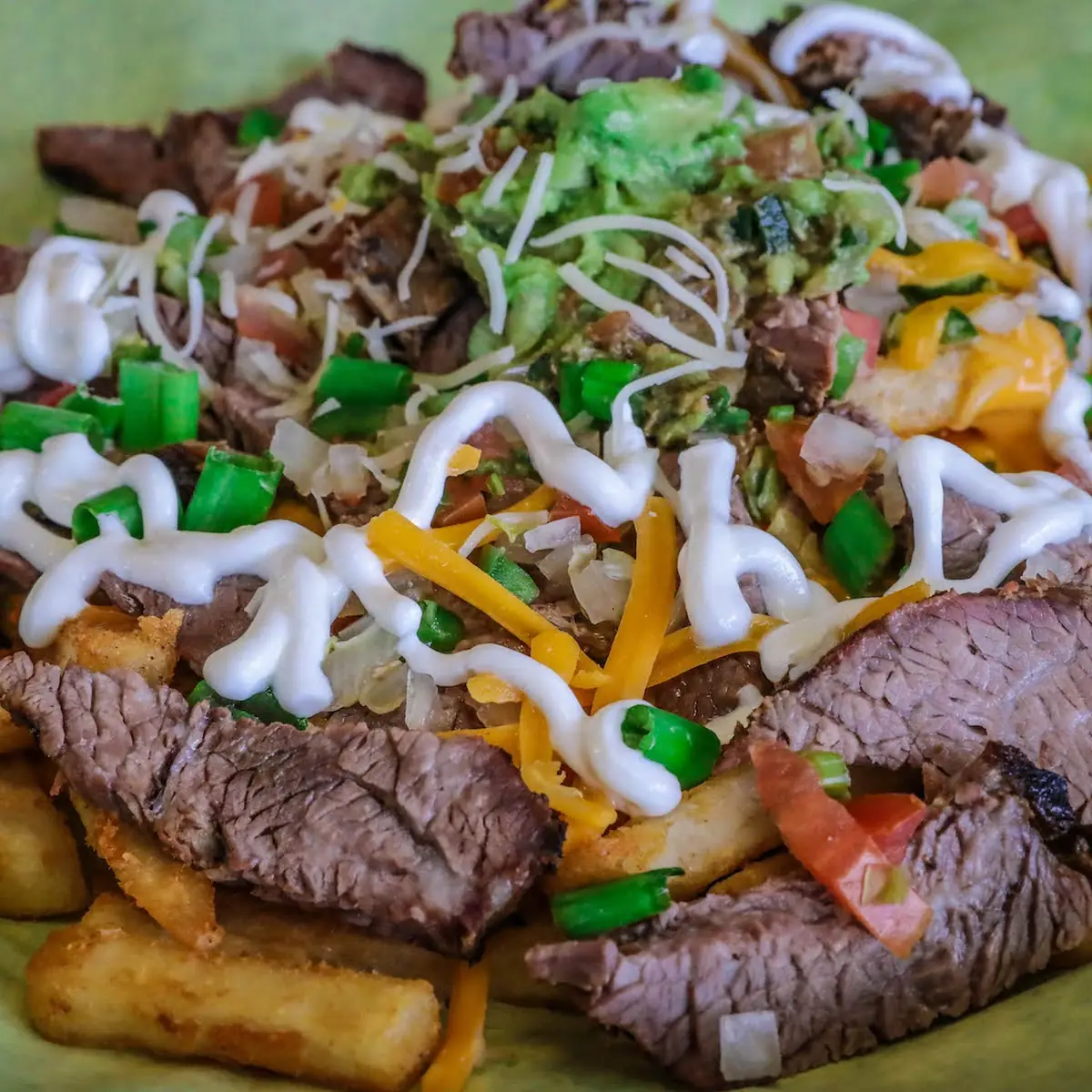 Tri Tip Nacho Fries