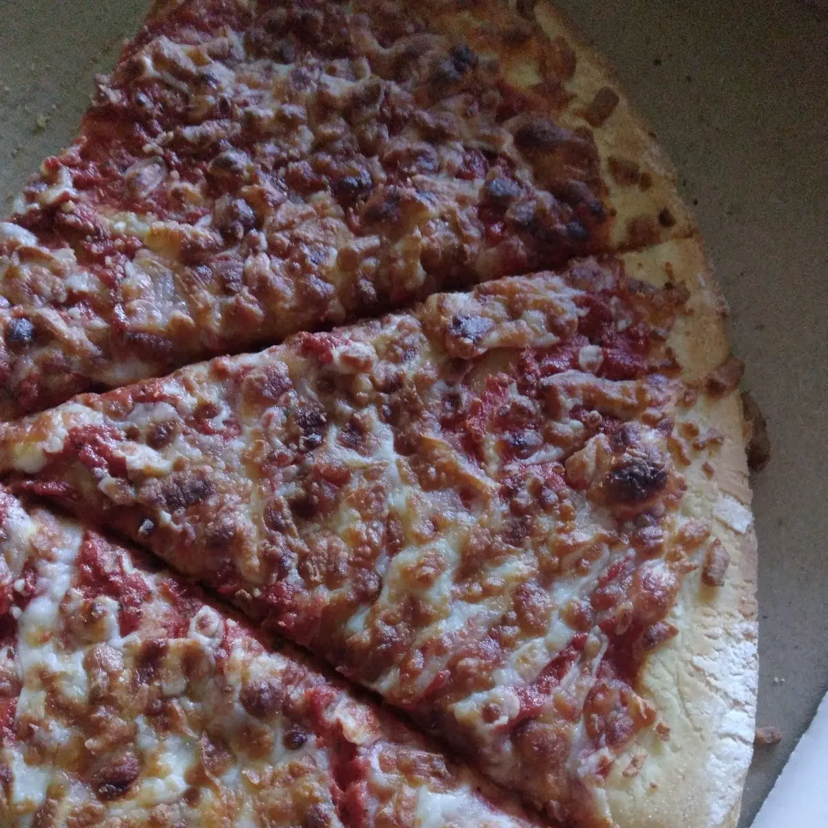 Cardboard Dry Cheese Pizza