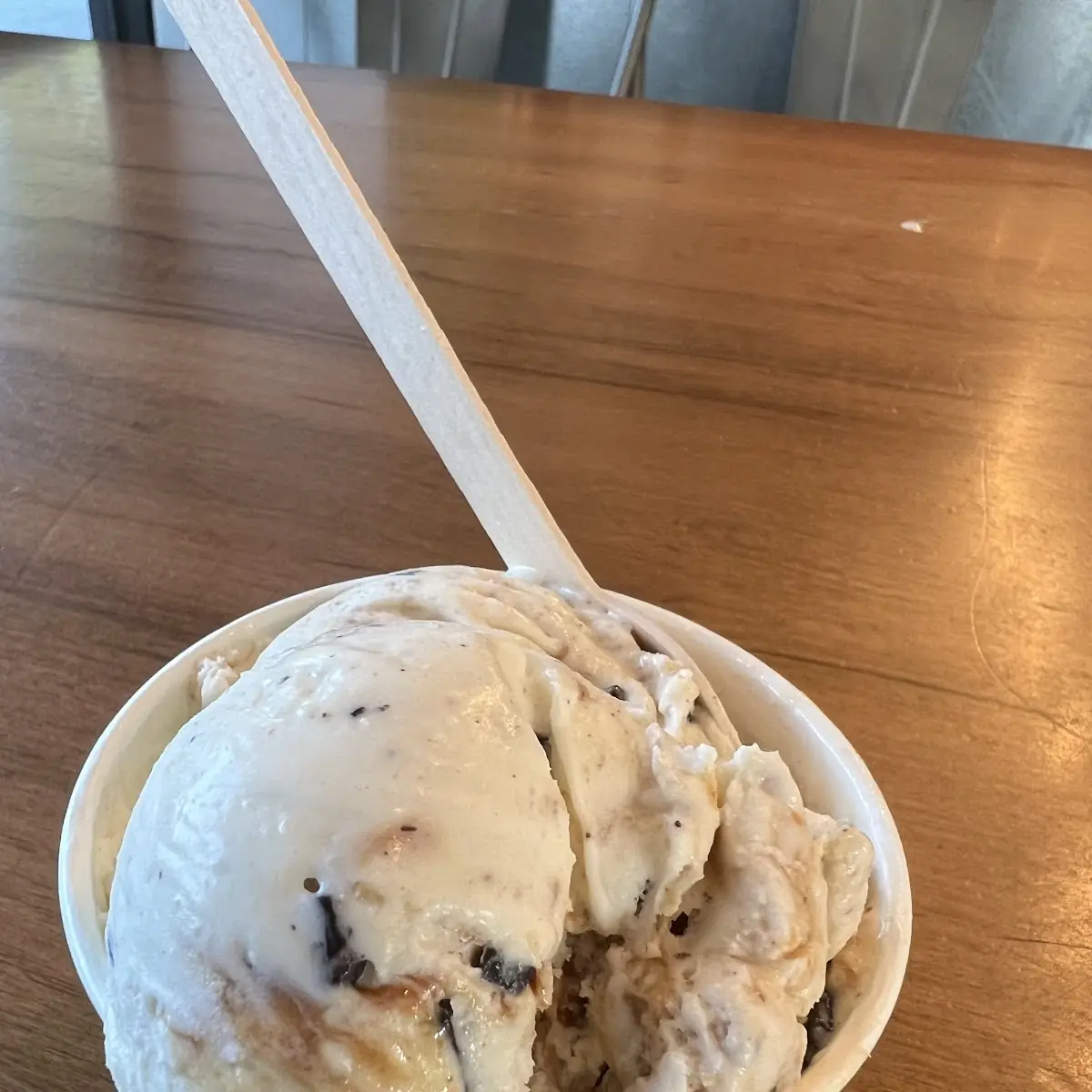 Chocolate Chip
