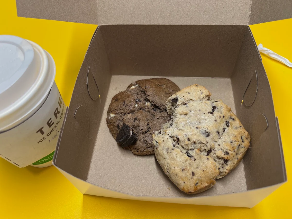 Chocolate Chip