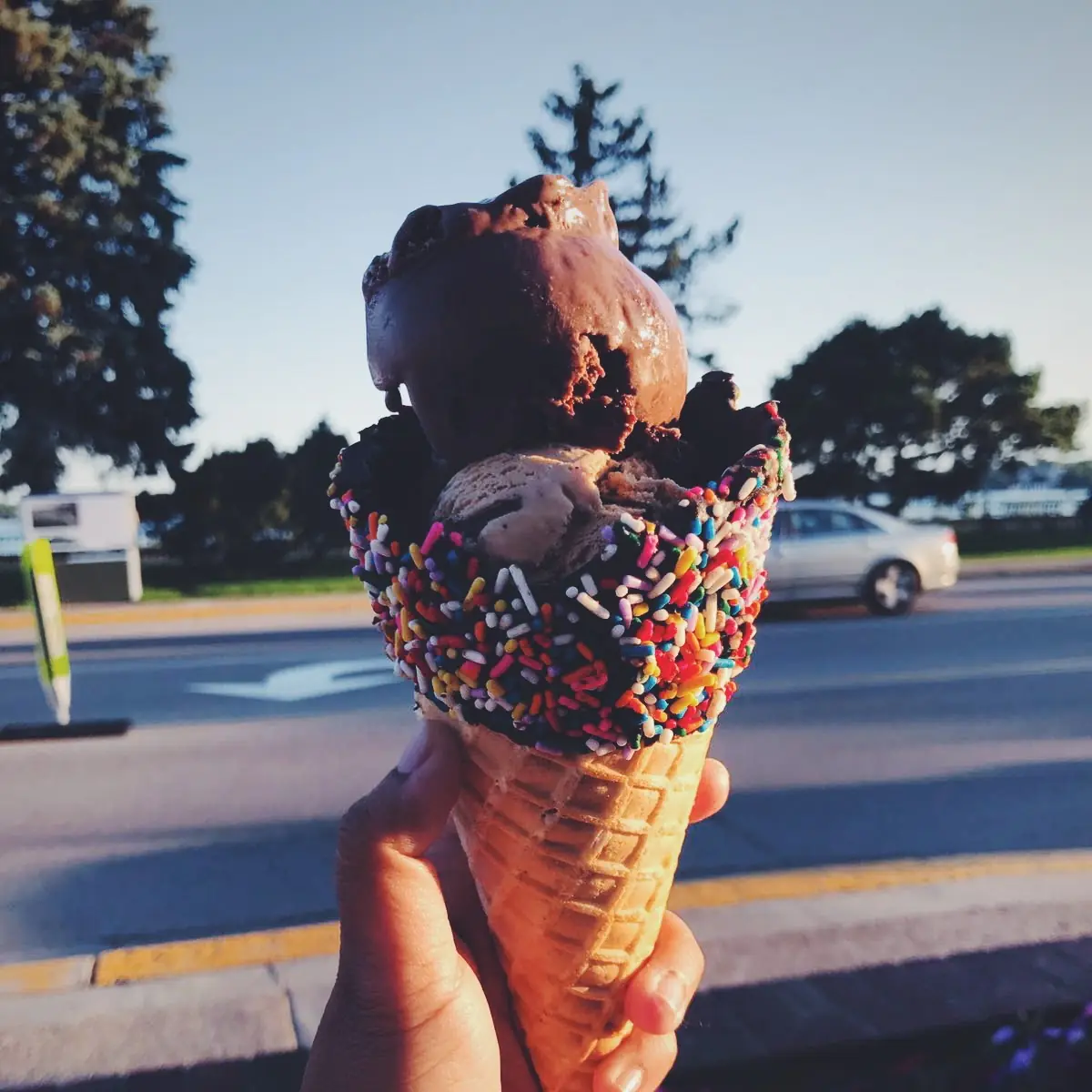 Chocolate Ice Cream
