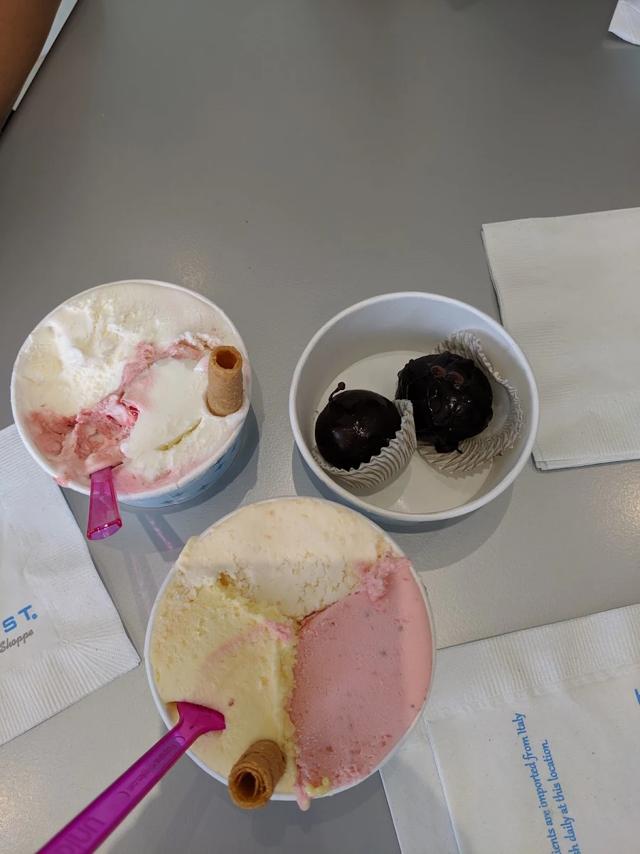 Chocolate Covered Gelato