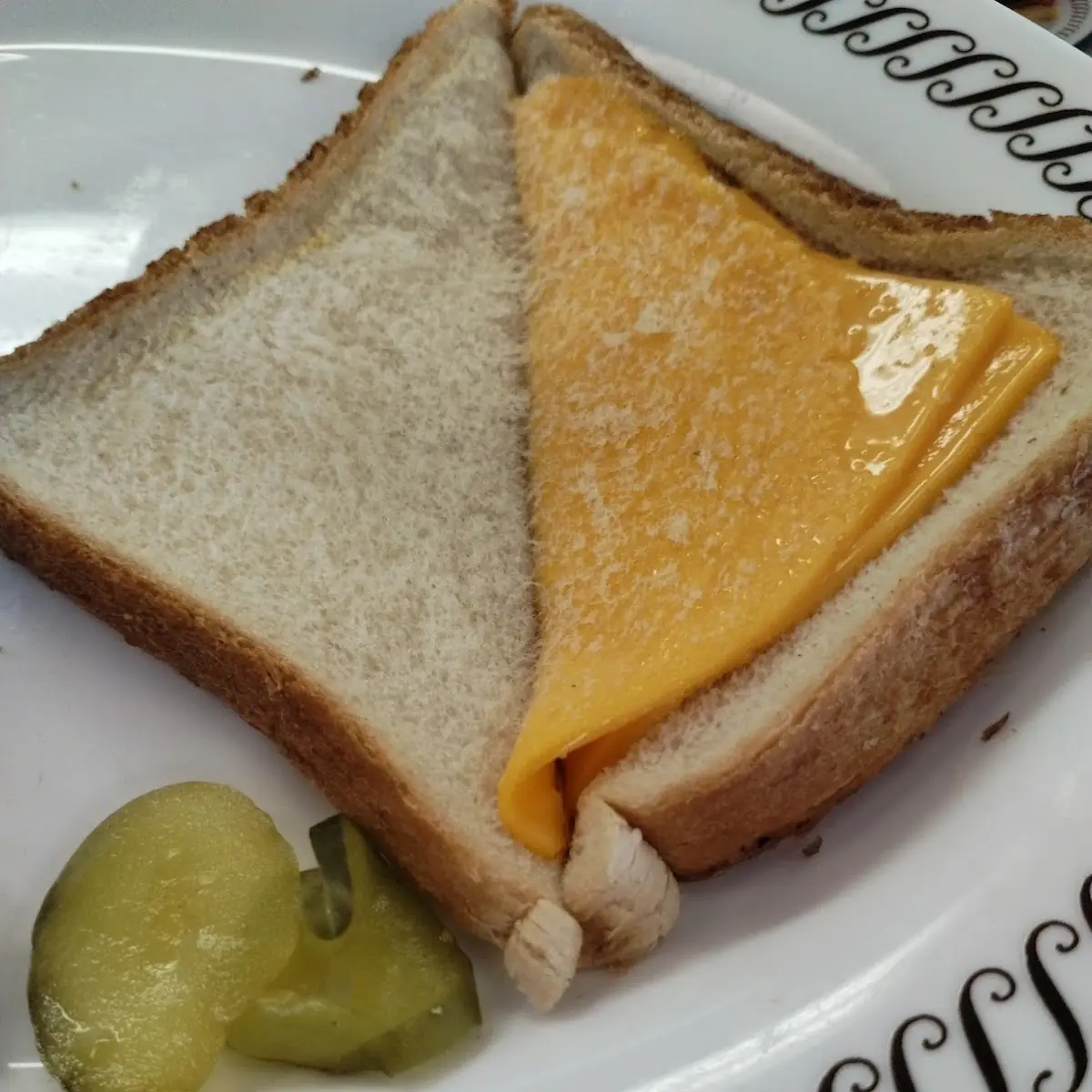 Cold Grill Cheese