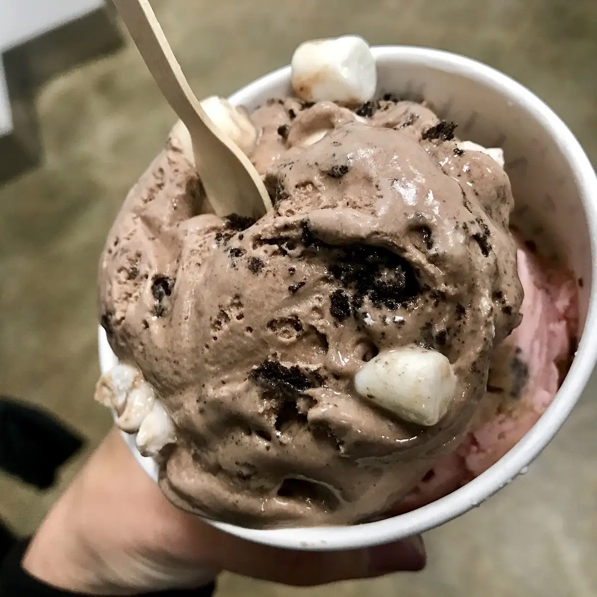 Frozen Hot Cocoa Ice Cream