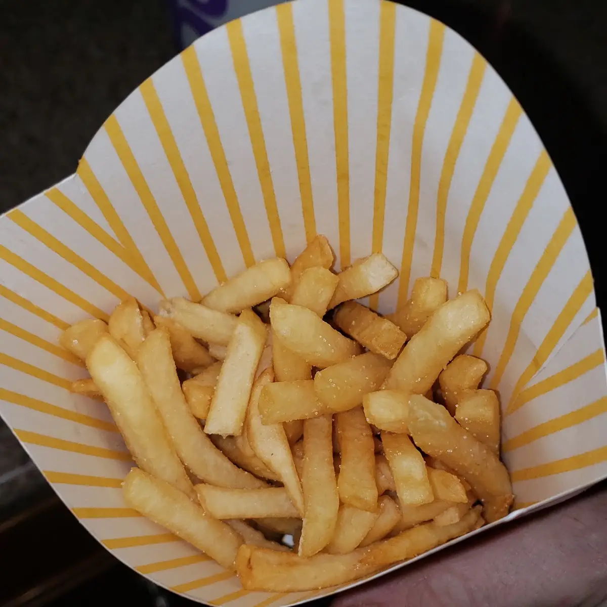World Famous Fries