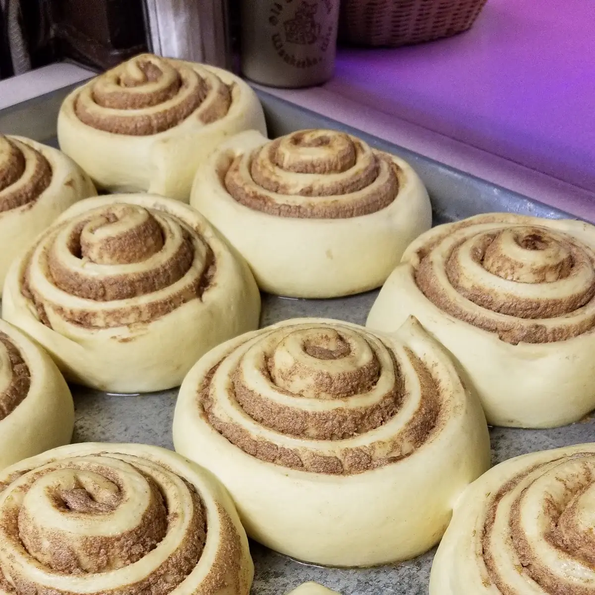 Cinnamon Roll