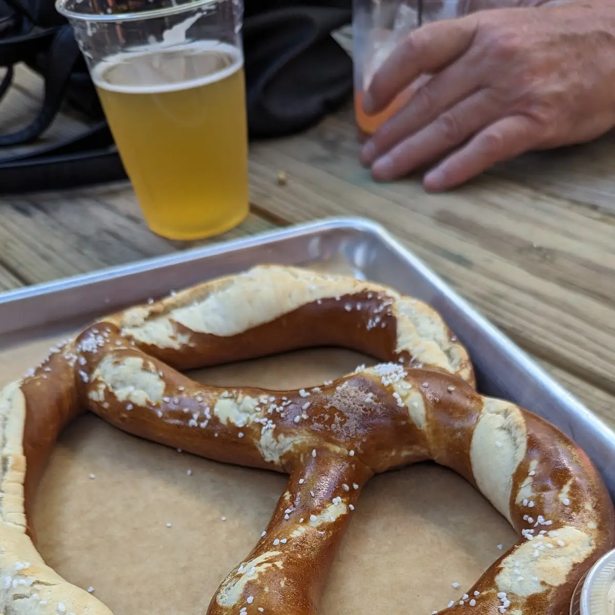 Bavarian Pretzel Sticks
