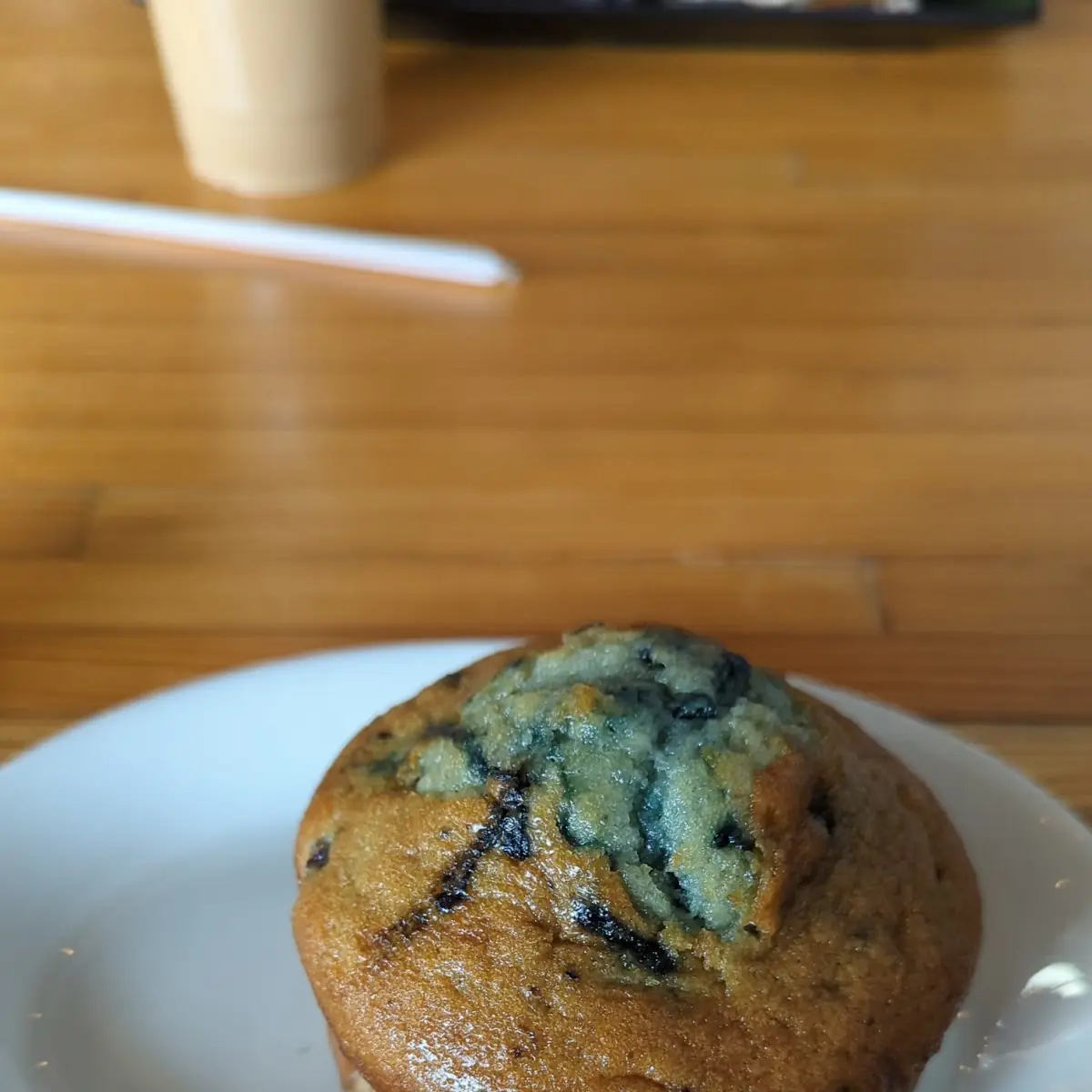 Blueberry Muffin