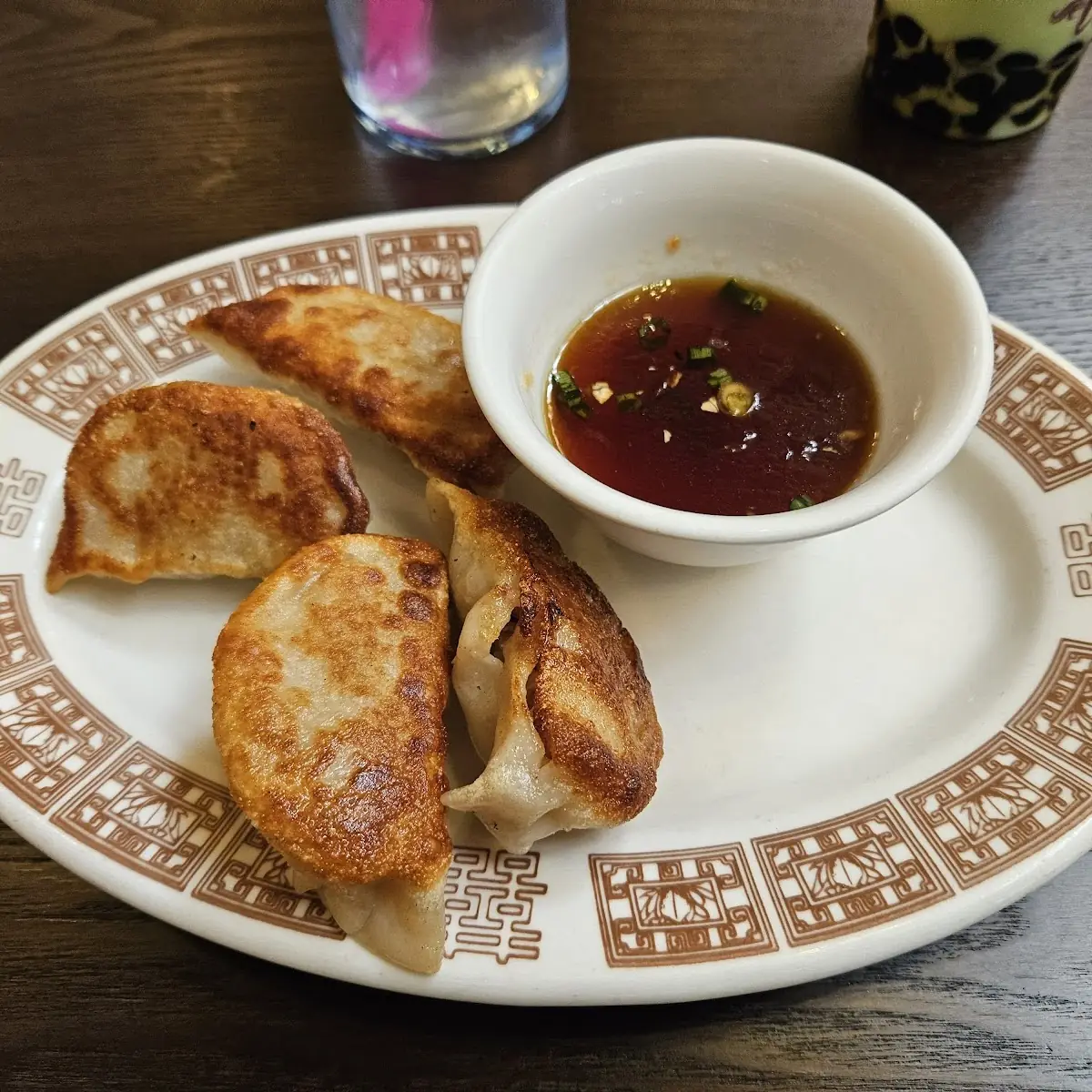 Pork Dumplings Pan Fried