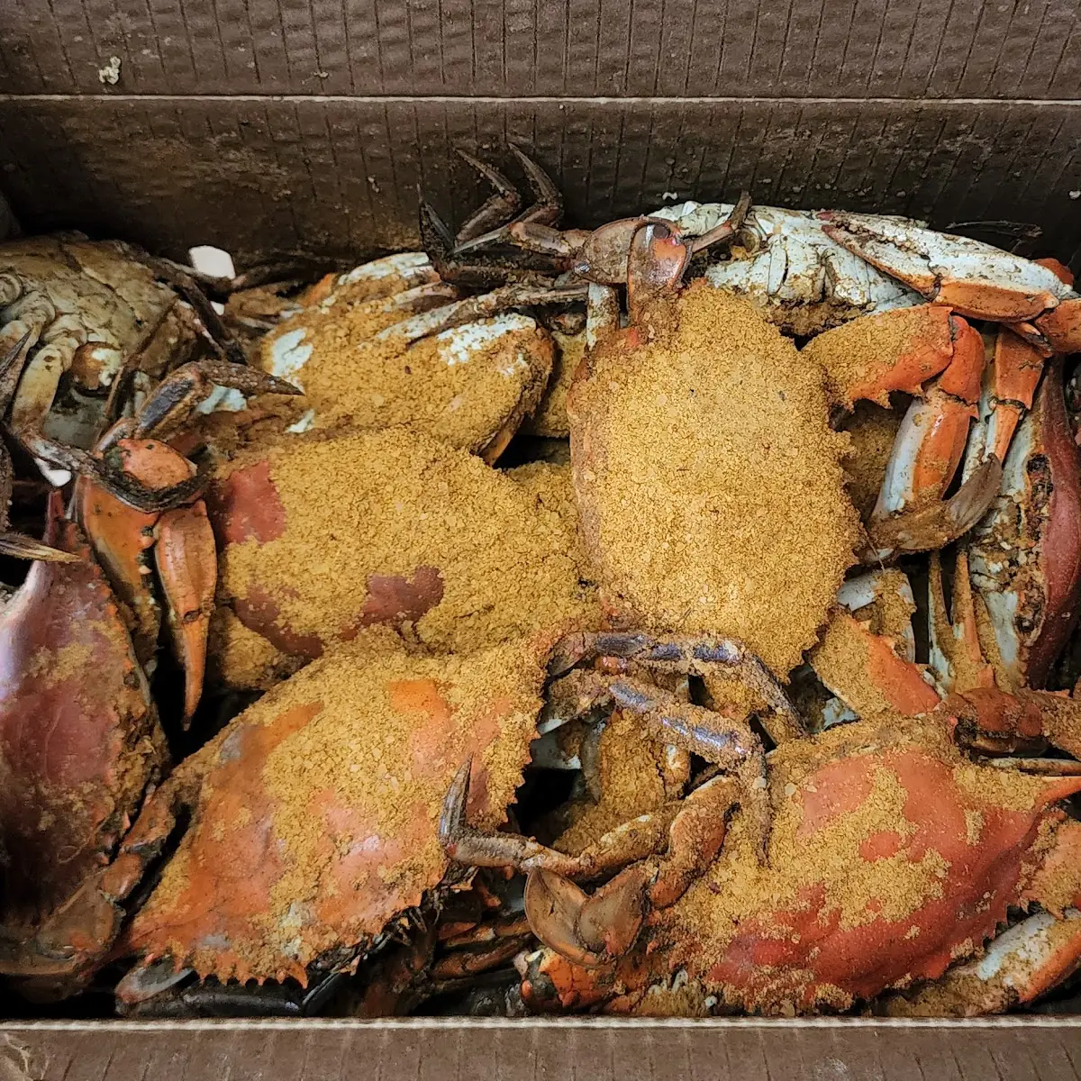 Blue Crabs