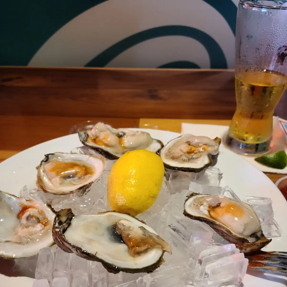 Oysters on the Half Shell