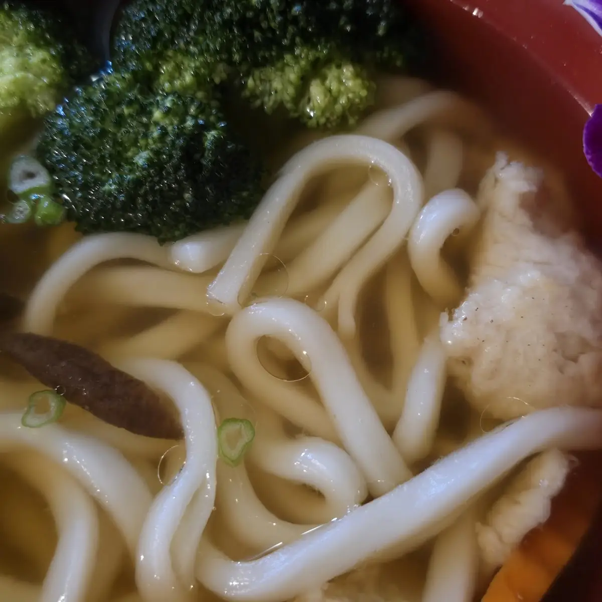 Chicken Udon