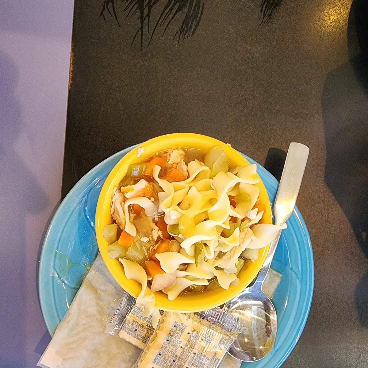 Chicken Noodle Soup